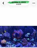 IMG_8010.jpeg