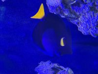 IMG_7996.jpeg