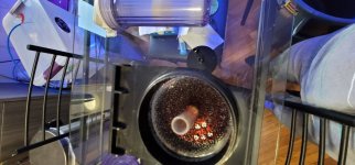 20260430_194407.jpg