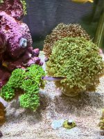IMG_4353.jpeg