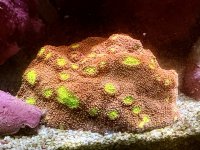 IMG_4359.jpeg