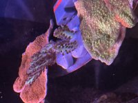 IMG_6895.jpeg