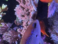 IMG_6898.jpeg