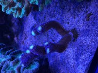 IMG_6897.jpeg