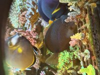 IMG_1431.jpeg