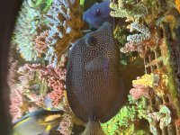 IMG_1430.jpeg