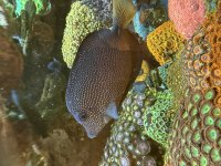IMG_1426.jpeg