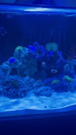IMG_1413.jpeg