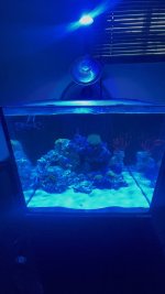 IMG_1418.jpeg