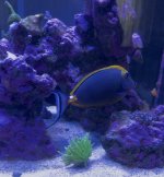 IMG_9251.jpeg