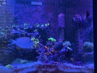 IMG_7677.jpeg