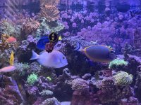 IMG_7673.jpeg