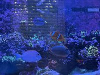 IMG_7676.jpeg