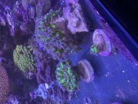 IMG_4249.jpeg