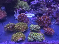 IMG_4255.jpeg