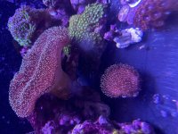 IMG_4257.jpeg