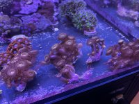 IMG_4221.jpeg
