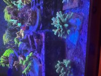 IMG_1780.jpeg