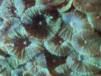 IMG_2605.jpeg