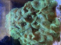 IMG_2604.jpeg
