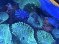 IMG_2600.jpeg