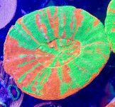 IMG_8057.jpeg