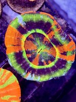 IMG_8782.jpeg