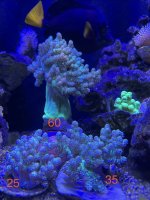 IMG_7662.jpeg