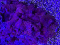 IMG_7902.jpeg
