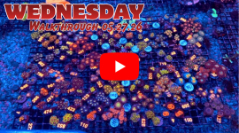Walkthrough 05.27.26(1).png