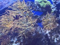IMG_3480.jpeg