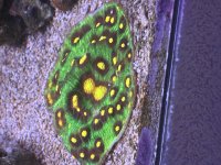 IMG_3486.jpeg