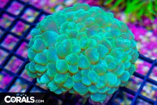 DSC01056.jpg