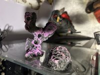 IMG_5577.jpeg