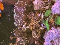 IMG_0957.jpeg