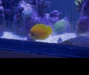 IMG_9390.jpeg