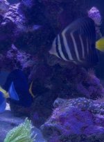 IMG_9389.jpeg