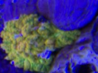 IMG_8068.jpeg