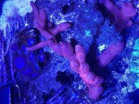 IMG_2881.jpeg