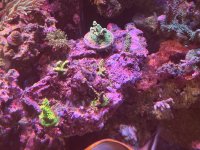 IMG_7774.jpeg
