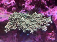 IMG_7772.jpeg