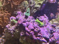 IMG_7770.jpeg