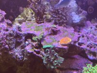 IMG_7769.jpeg