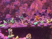 IMG_7776.jpeg