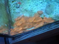 20260603_152859.jpg