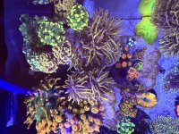 IMG_5682.jpeg