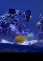 IMG_9527.jpeg