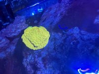 IMG_4848.jpeg