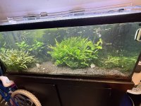 IMG_1802.jpeg