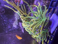 IMG_7717.jpeg